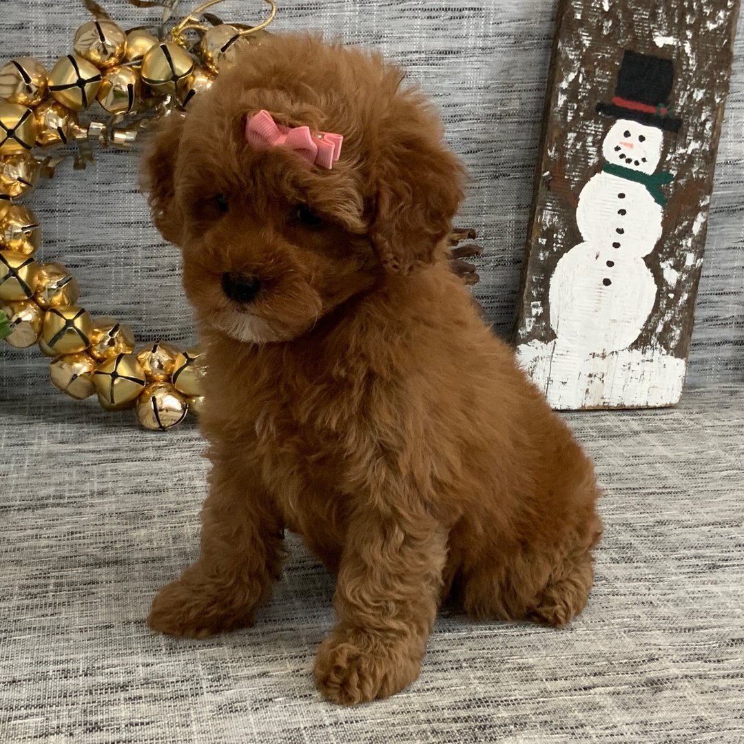 Myla - Female - Image 2