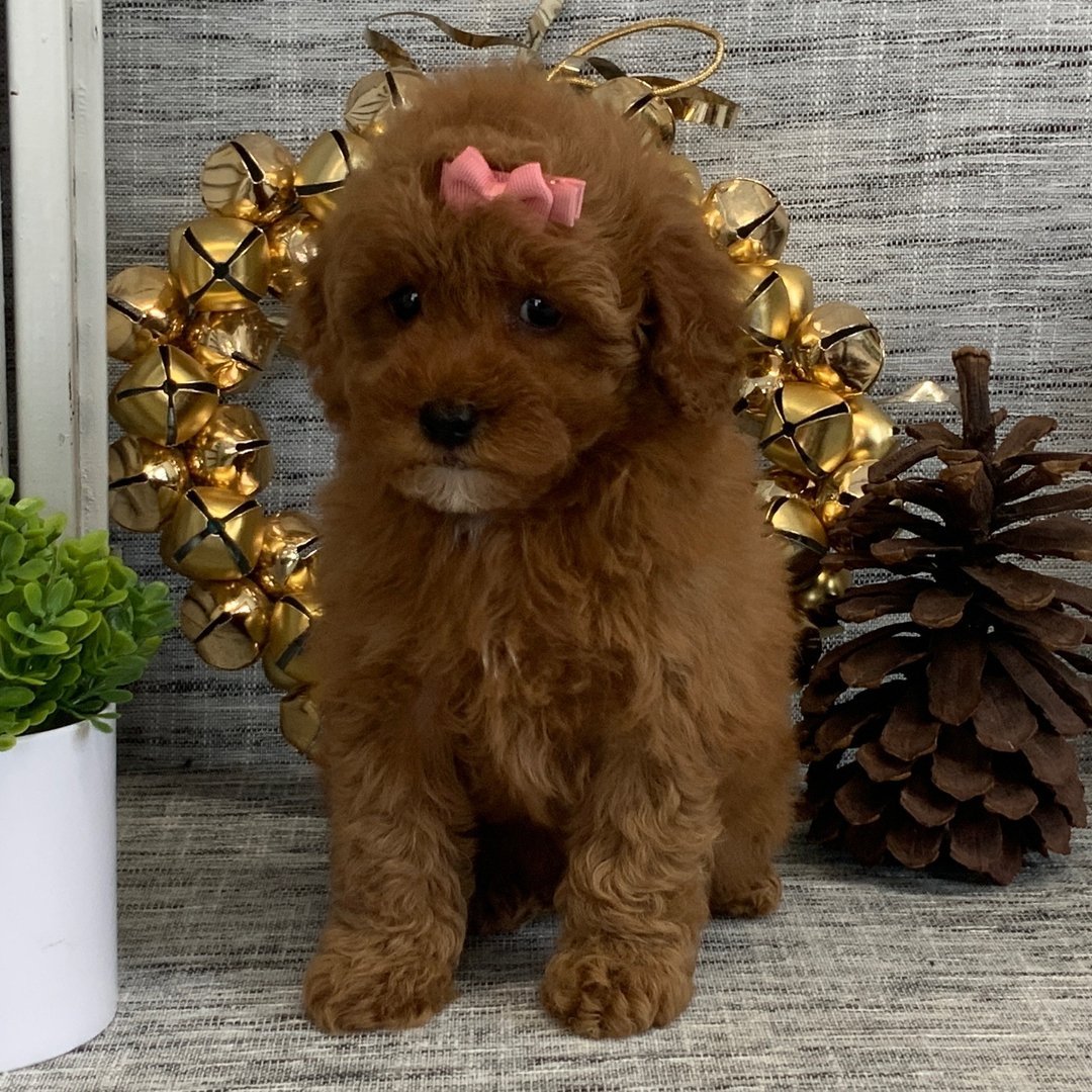 Myla - Female - Image 3